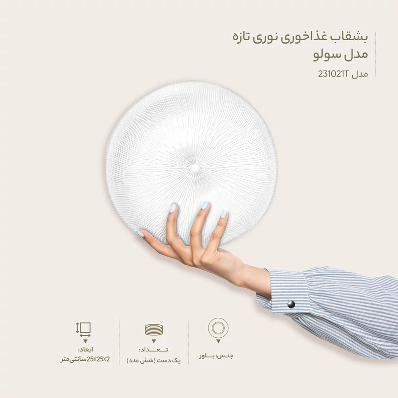 پلو خوری سولو نوری تازه ; جلوه ای از ظرافت برای یک پذیرایی شیک و دلنشین